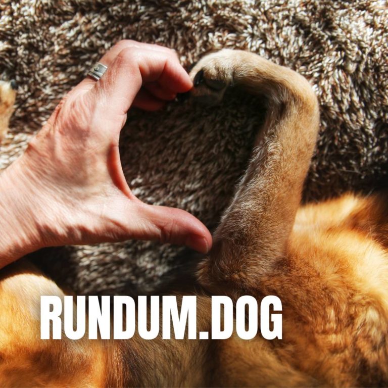 tag-rundumdog-icon