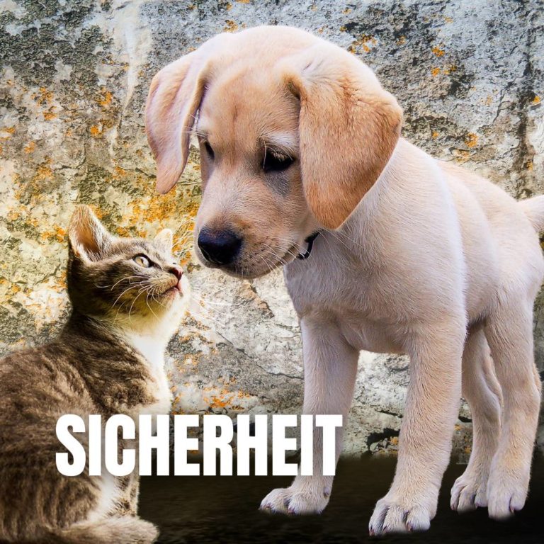 Sicherheit : 