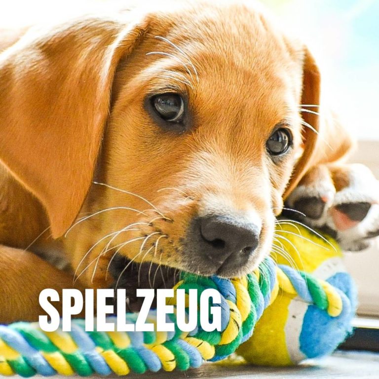 Spielzeug : 