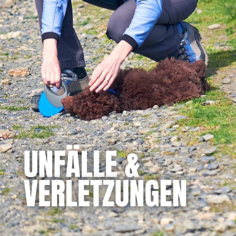 Unfälle & Verletzungen : 