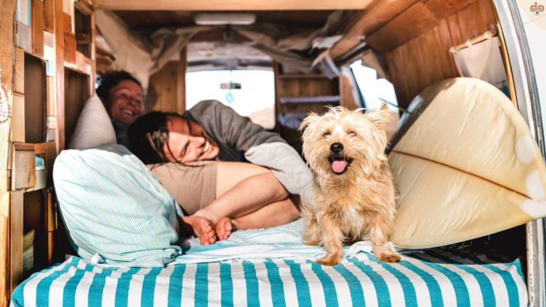 vanlife-mit-hund