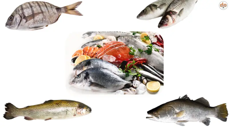 Lachs