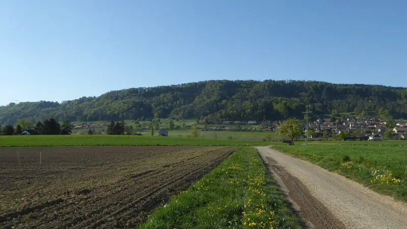 Immenberg - 8544