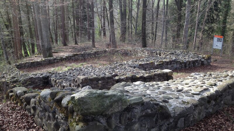 Ruine Schleifenrain - 8553