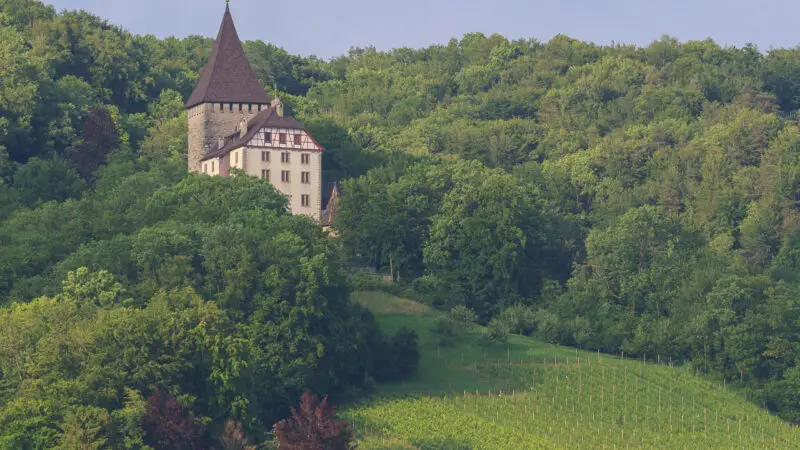 Schloss Weinfelden - Schloss Weinfelden zwischen Wein und Wald 28201029