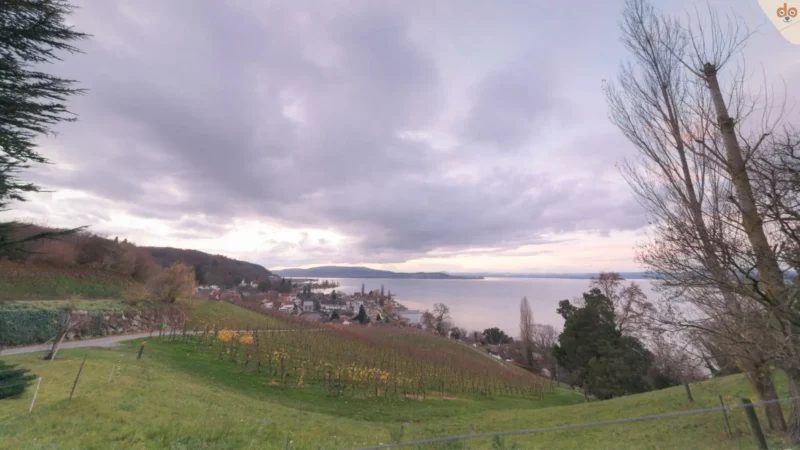 aussicht-arenenberg-auf-bodensee