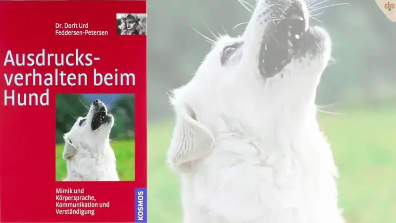 Buchempfehlung: Ausdrucksverhalten beim Hund