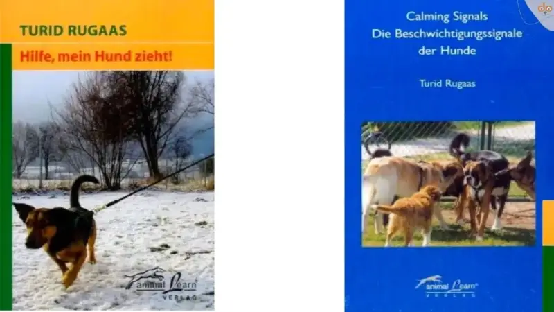 Buchempfehlung: Calming Signals – Die Beschwichtigungssignale der Hunde