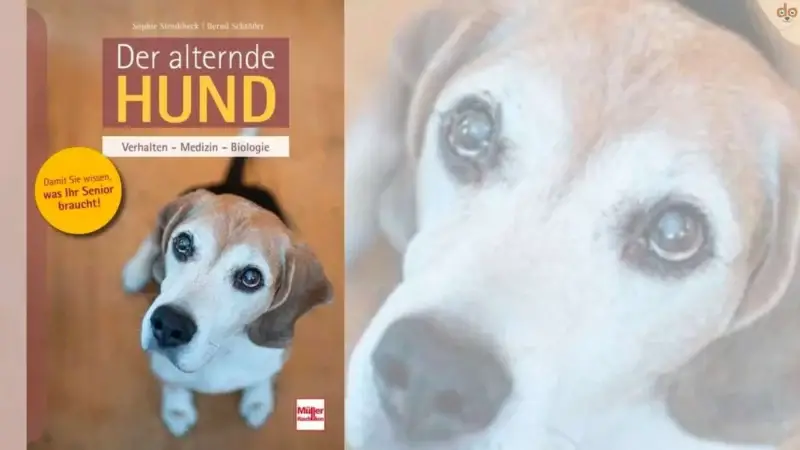 Buchempfehlung: Der alternde Hund: Verhalten – Medizin – Biologie