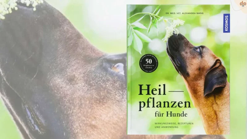 Buchempfehlung: Heilpflanzen für Hunde: Wirkungsweise, Rezepturen und Anwendung