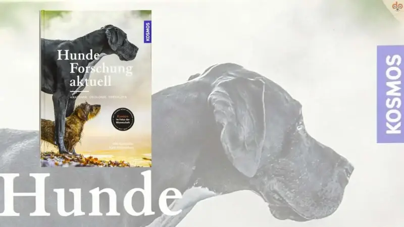 Buchempfehlung: Hunde-Forschung aktuell: Anatomie, Ökologie, Verhalten