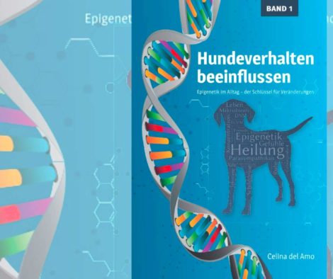 buchempfehlung-hundeverhalten-beeinflussen-epigenetik