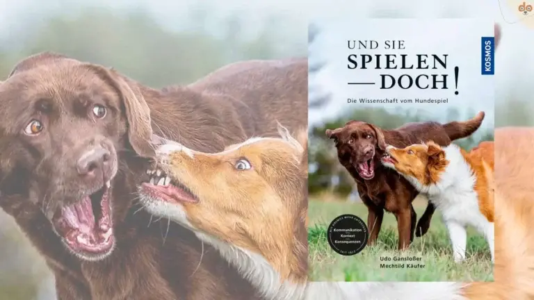 buchempfehlung-und-sie-spielen-doch