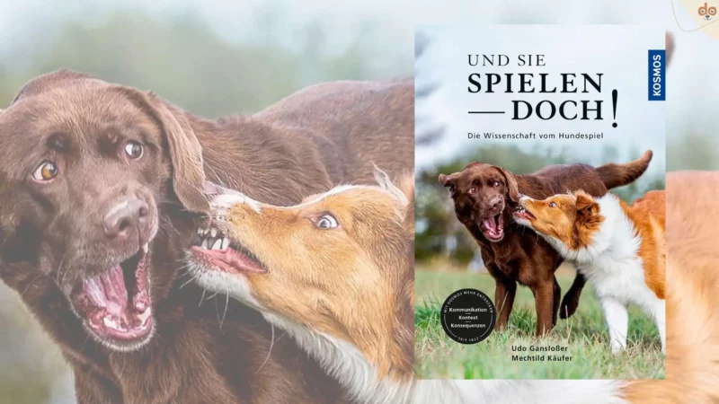 Buchempfehlung: Und sie spielen doch! Die Wissenschaft vom Hundespiel