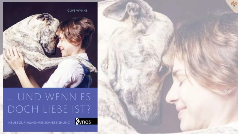 Buchempfehlung: … und wenn es doch Liebe ist?: Neues zur Hund-Mensch-Beziehung