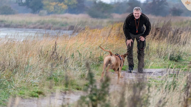 Hundepfeife: Magisches Trainingswerkzeug oder Qual fürs Hundegehör?
