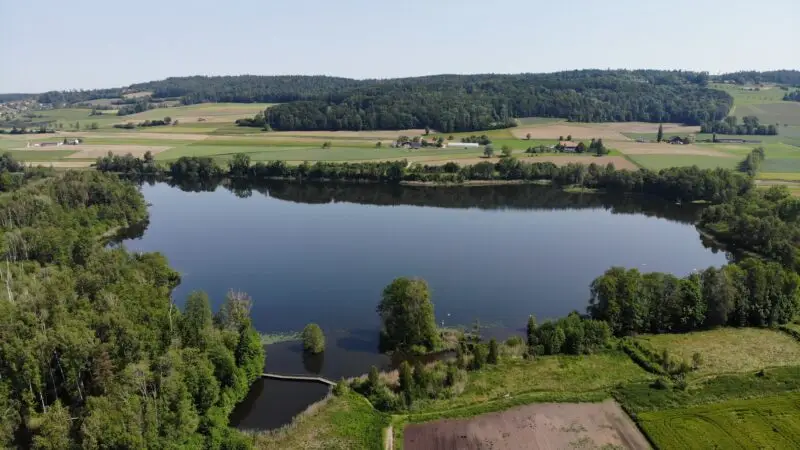 Hüttwilersee - huettwilersee 8545