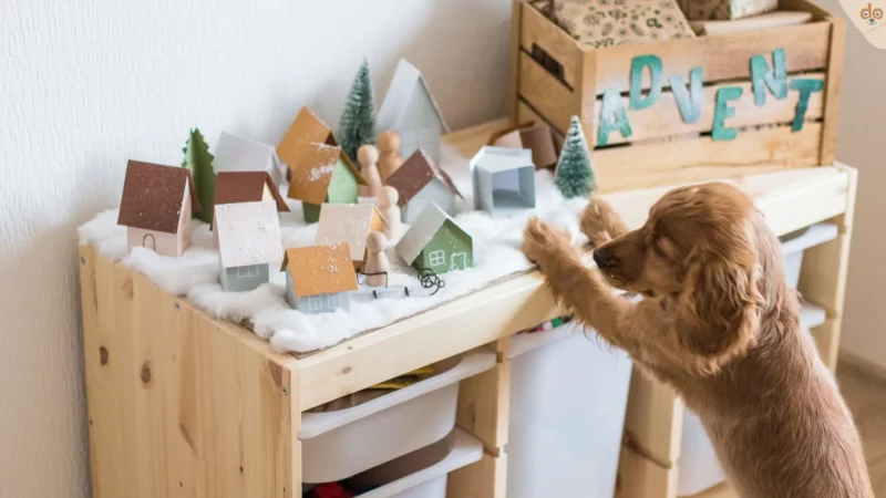 Adventszeit: Überraschungen für Hunde im Adventskalender