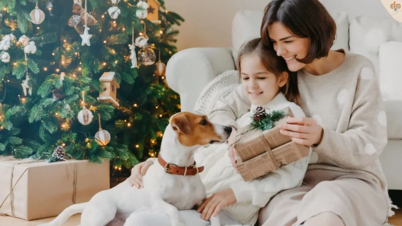 Geschenkideen für Hunde: Zehn kreative Überraschungen für unsere treuen Begleiter