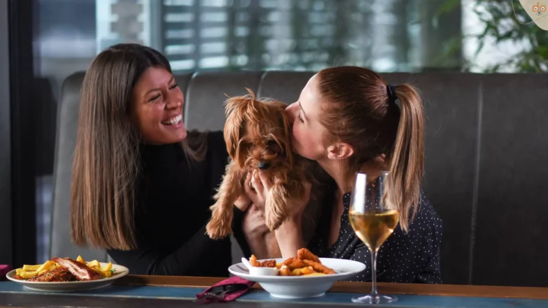 Verantwortungsvoll mit Hund im Restaurant: Ein Leitfaden