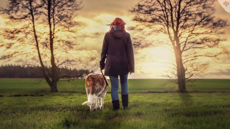 Hundesportkleidung bietet jedem Hundehalter erweiterte Vorteile