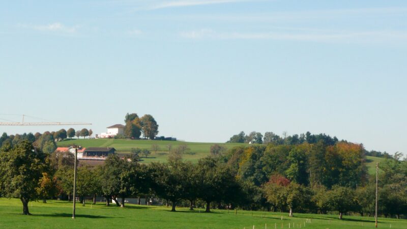 Nollen - nollen 8541