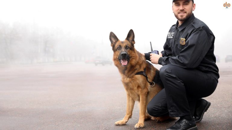 Polizist mit Schäferhund