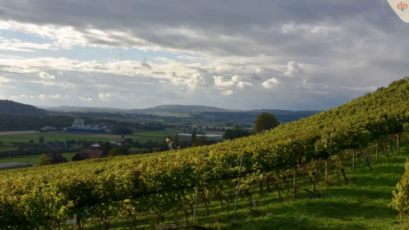 Der Thurgau, oft als der „Garten am Bodensee“ bezeichnet
