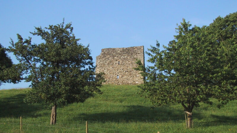 Ruine Anwil - ruine anwil 8551