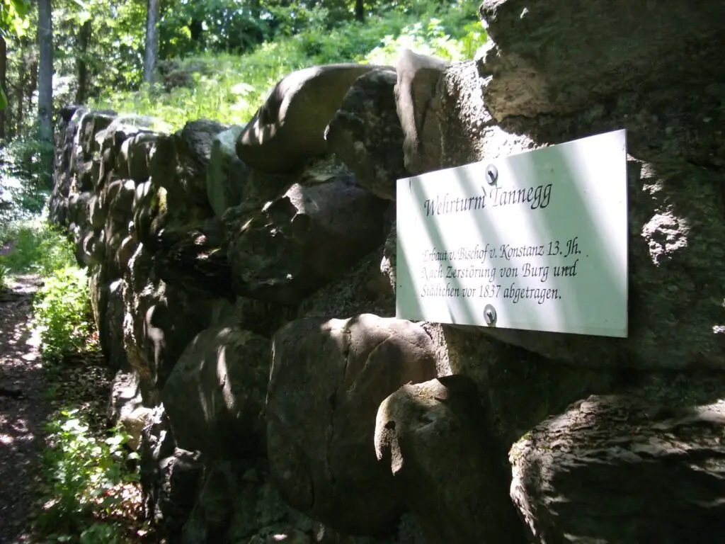 Ruine Tannegg