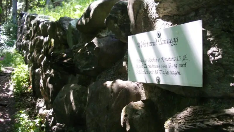Ruine Tannegg - ruine tannegg 8558