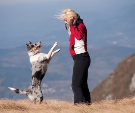 Hund und Halterin auf dem Berg beim Trickdogging