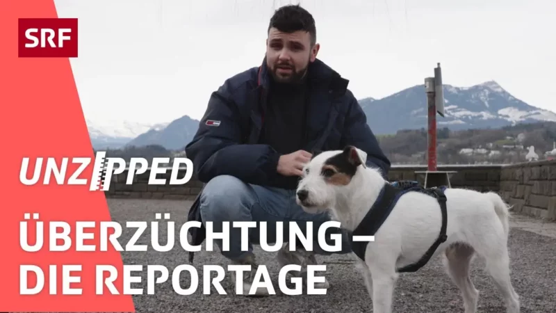 Apfelkopf
