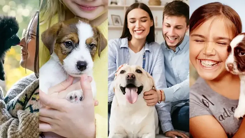 Hunde Welpen kaufen Schweiz
