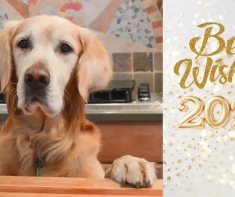 Die besten Wünsche für ein fantastisches 2024