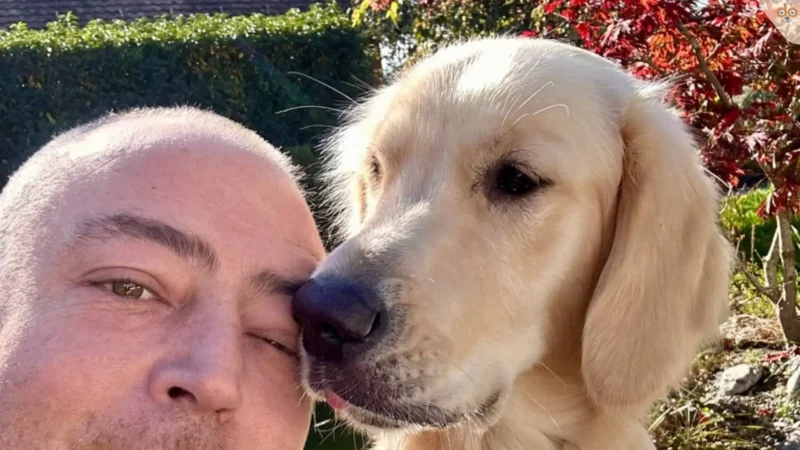 Nutze die ruhigere Zeit für Deine Präsenz auf rundum.dog