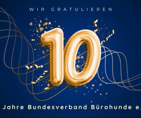 10-jahre-bundesverband-buerohund