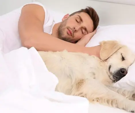 Bei Erkältung gemeinsam das Bett hüten oder ansteckend?