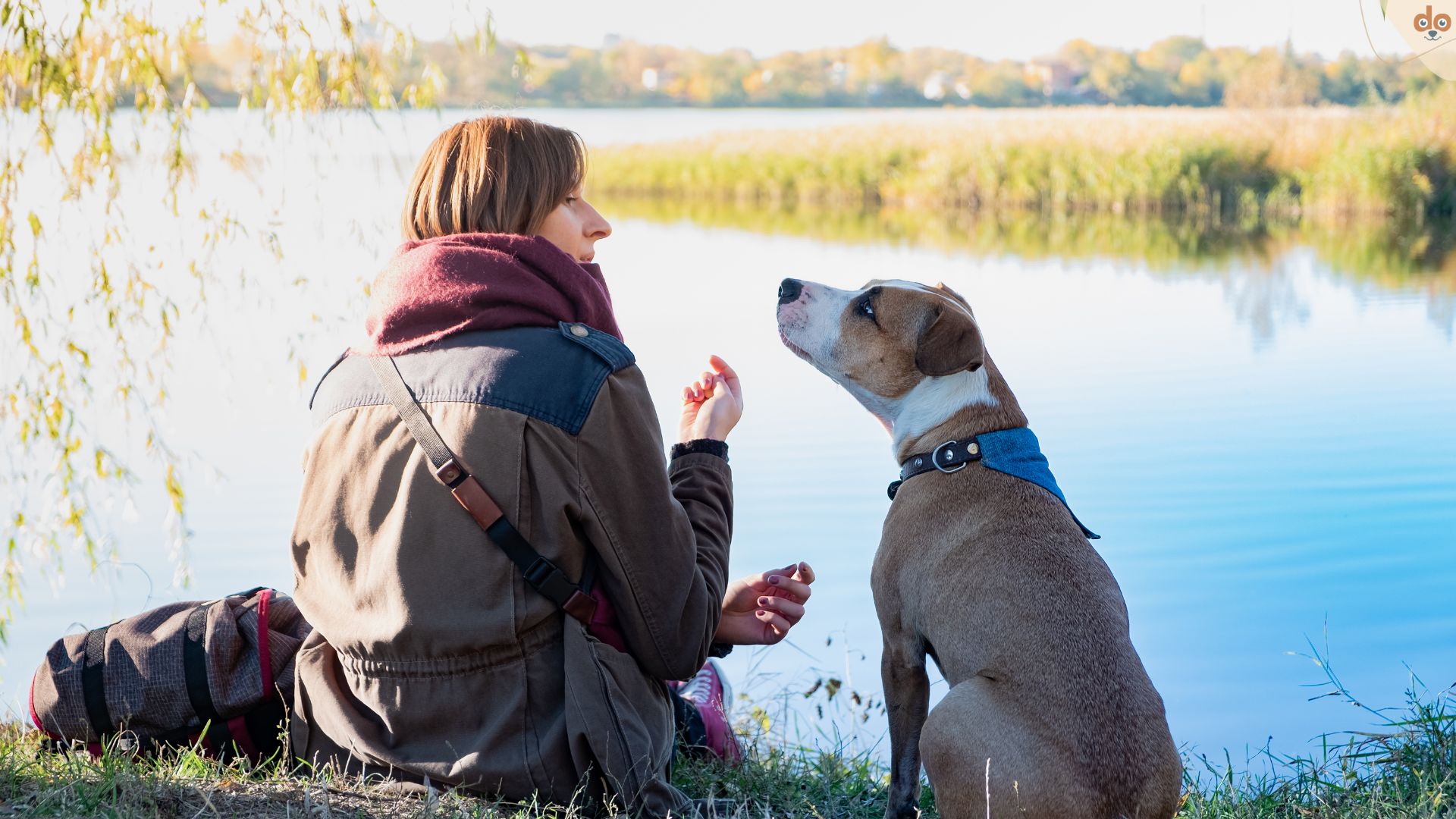 Halterin sitzt mit Hund am Seeufer und nutzt Babysprache zur Kommunikation
