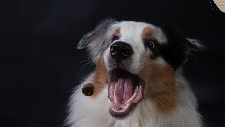 Foto-Shooting mit Mailo