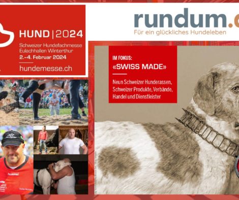 Stand Hundemesse 2024
