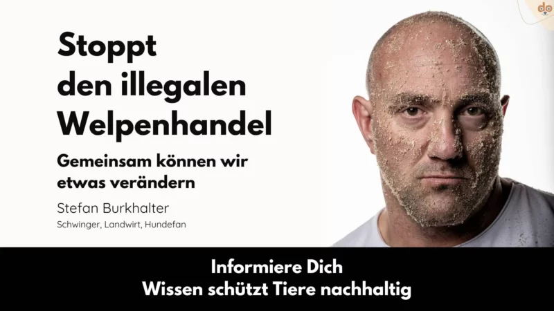 Stefan Burkhalter und rundum.dog gegen den Welpenhandel
