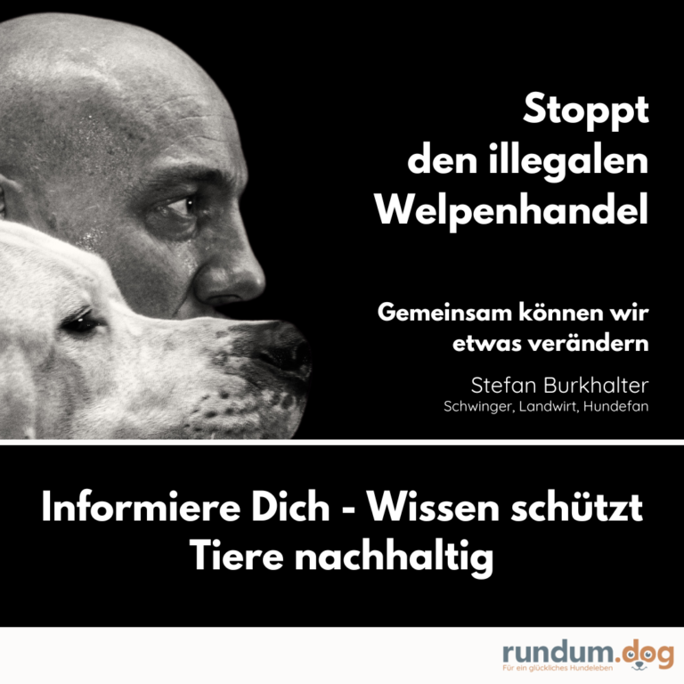 Stoppt den illegalen Welpenhandel