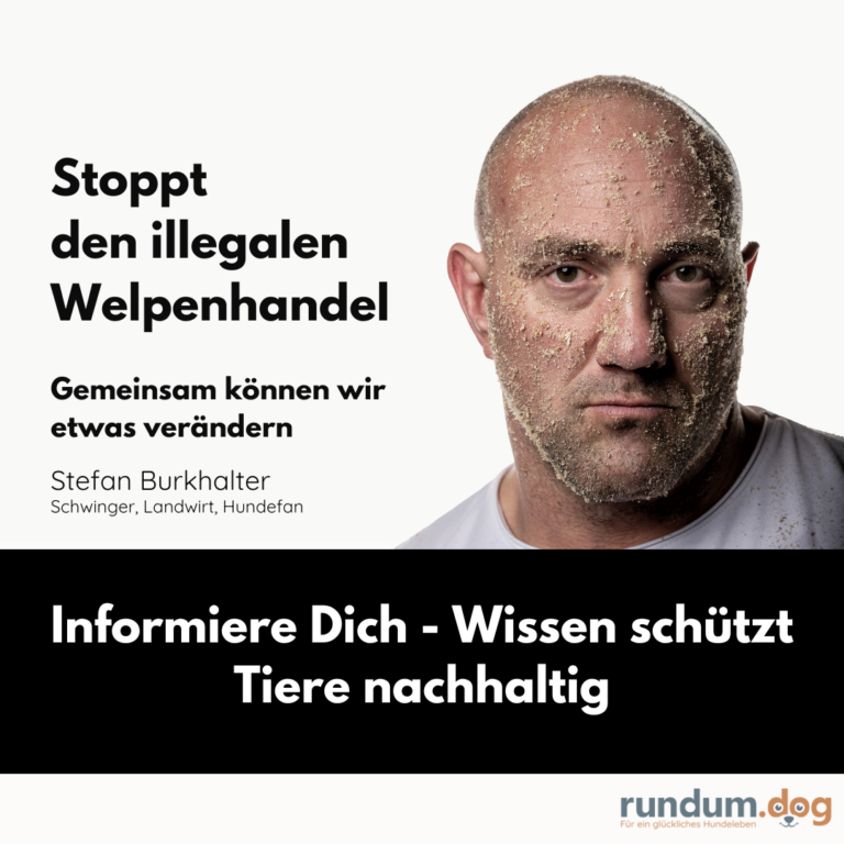 Stoppt den illegalen Welpenhandel
