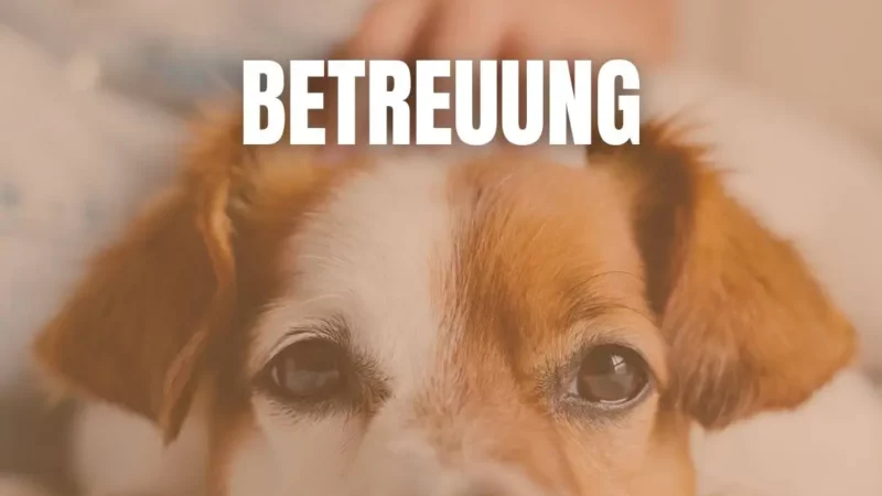 Stationäre Betreuung