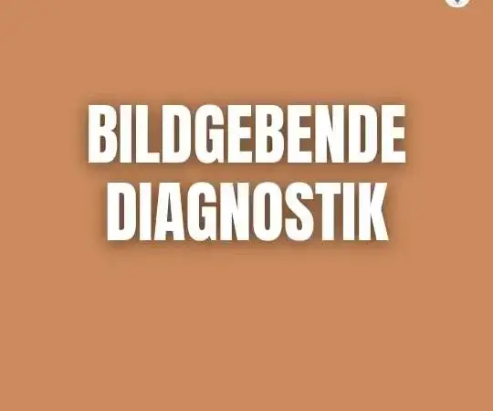 Bildgebende Diagnostik-Hund