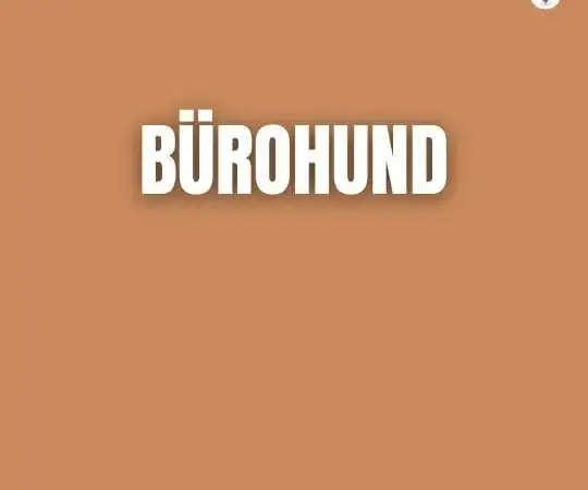 Bürohund