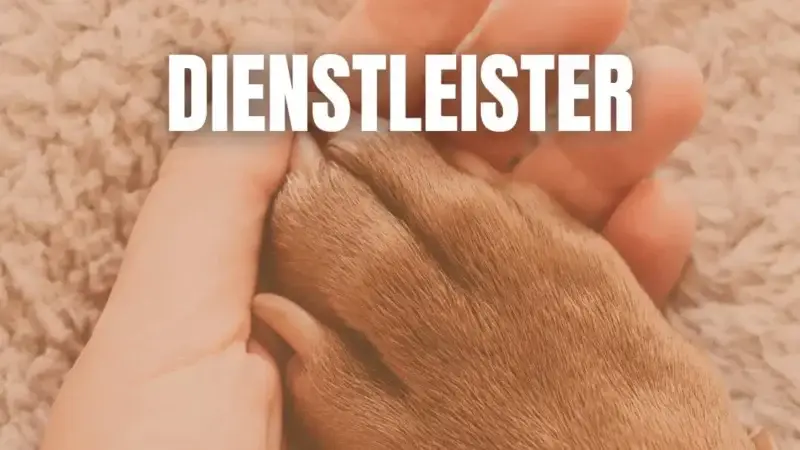 Dienstleister