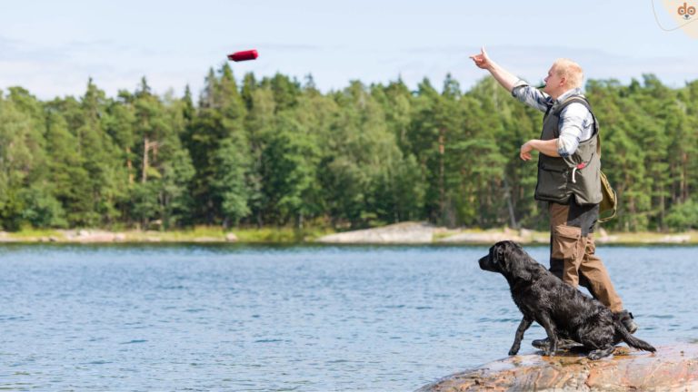 Dummytraining mit Labrador am See