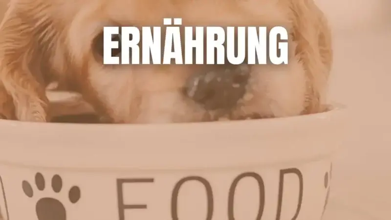 Nährstoffbedarf
